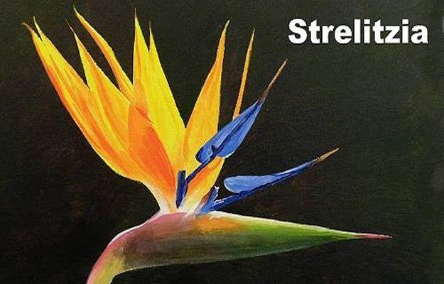 How To Paint Flowers - How To Paint A Strelitzia Flower In Acrylic - Step by Step Tutorials for Painting Roses, Daisies, Whimsical and Abstract Floral Techniques - Easy Acrylic Flo