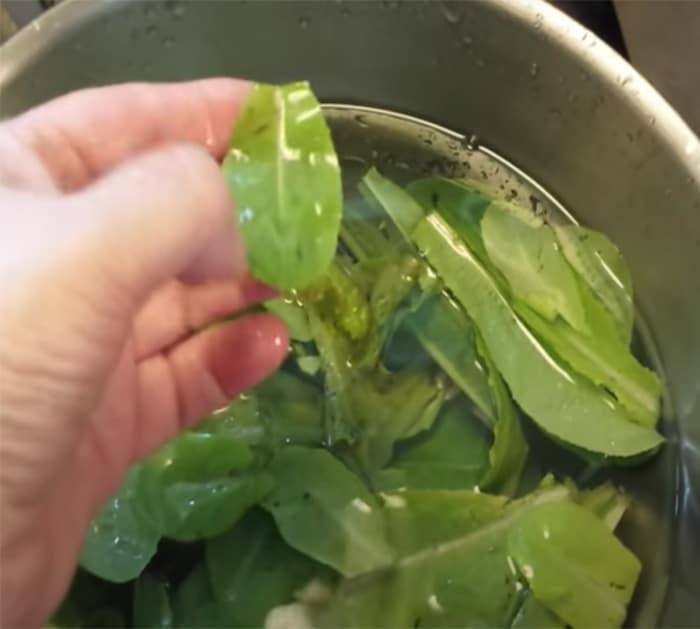 steps to make leafy greens stay crispy