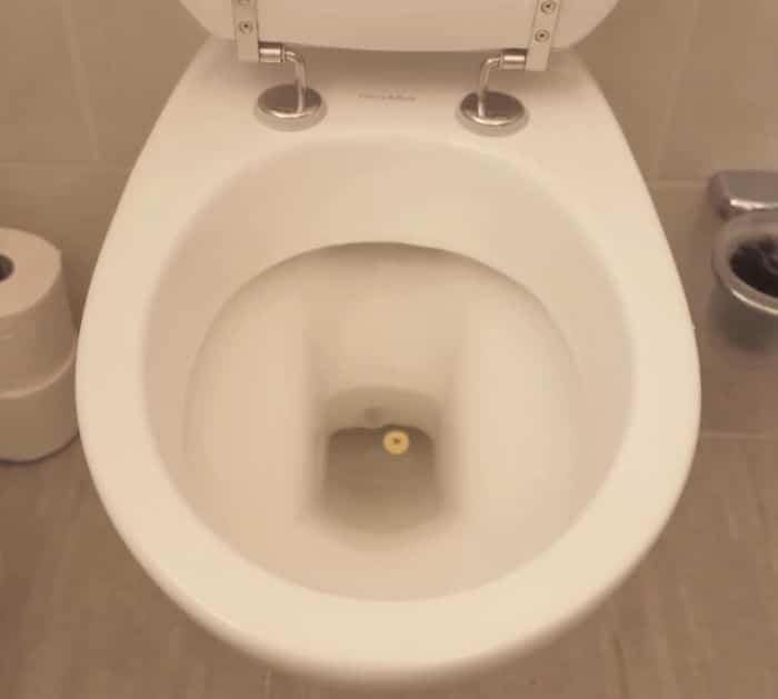 What to do when the toilet doesn't flush