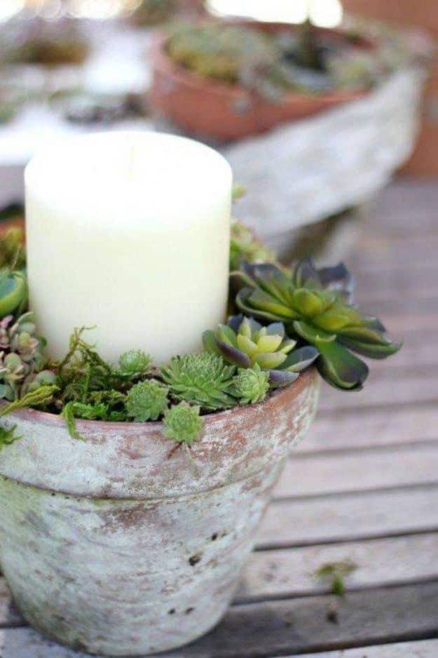 Simple Succulent Centerpiece, easy to fit into a free afternoon and something that looks far pricier than it was