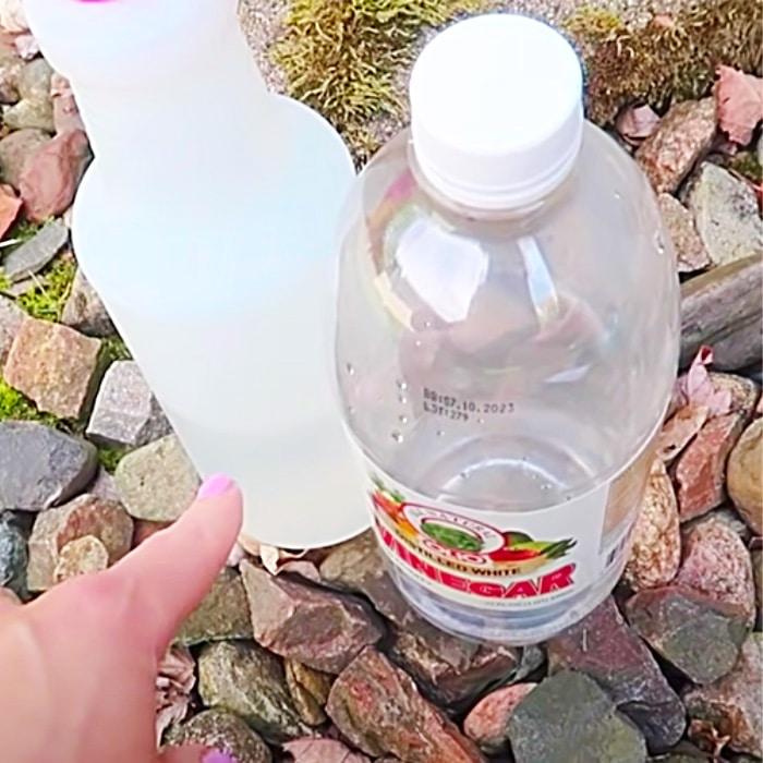 How To Kill Ants - Homemade Ant Killer - Natural Pest Control