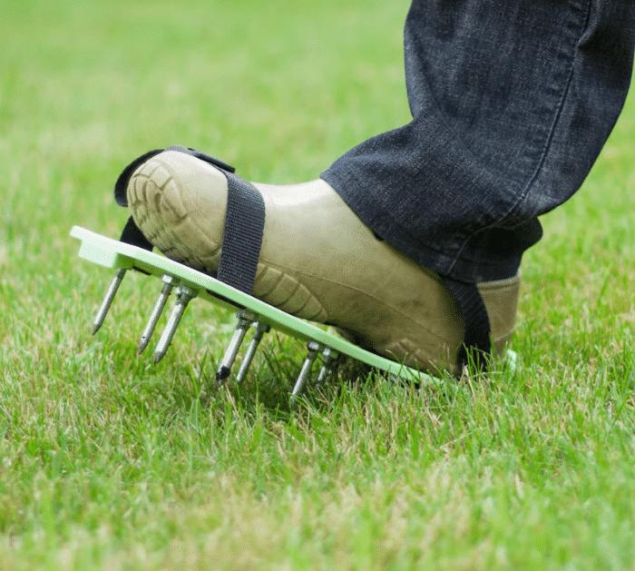 9 Secrets to Keep Your Lawn Green and Healthy Tips