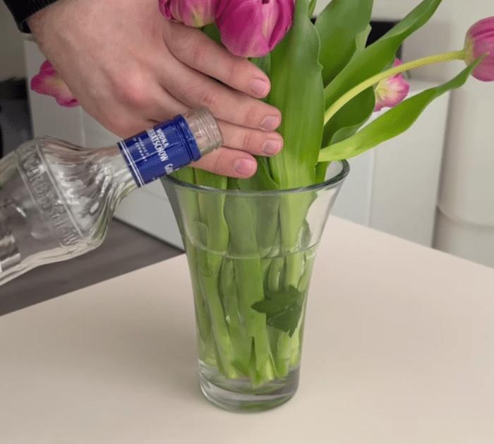 How to Preserve Fresh Flowers Longer