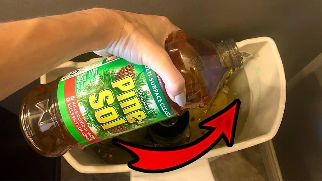 3-Minute Toilet Miracle For Only $1