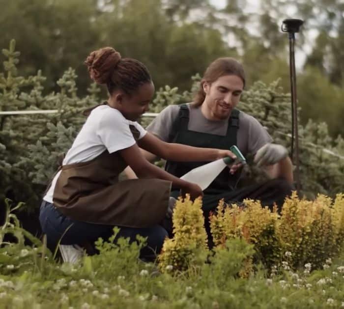 How to Keep Pests Away From Your Yard
