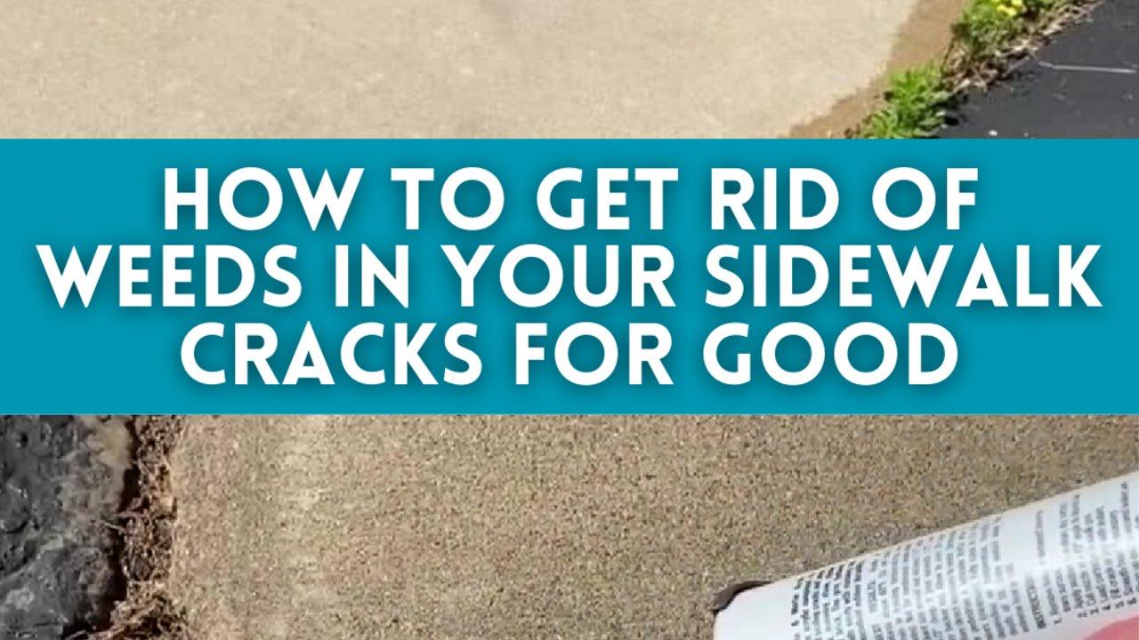 How to Get Rid of Weeds in Your Walkway Cracks For Good