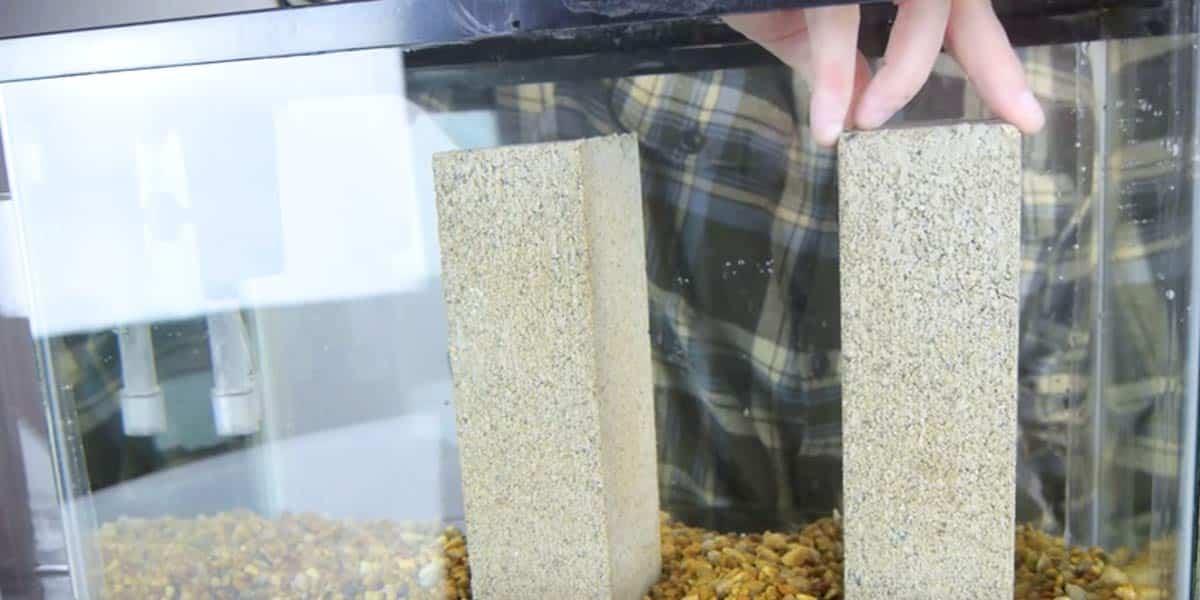 Watch What He Does To Show His Fish Swimming Above The Natural Water Level (Brilliant!)