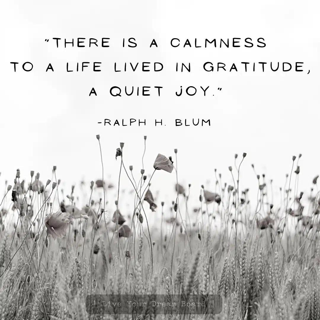 Gratitude quote print, a black and white wildflower meadow photograph with a gratitude quote typeset across the pale sky