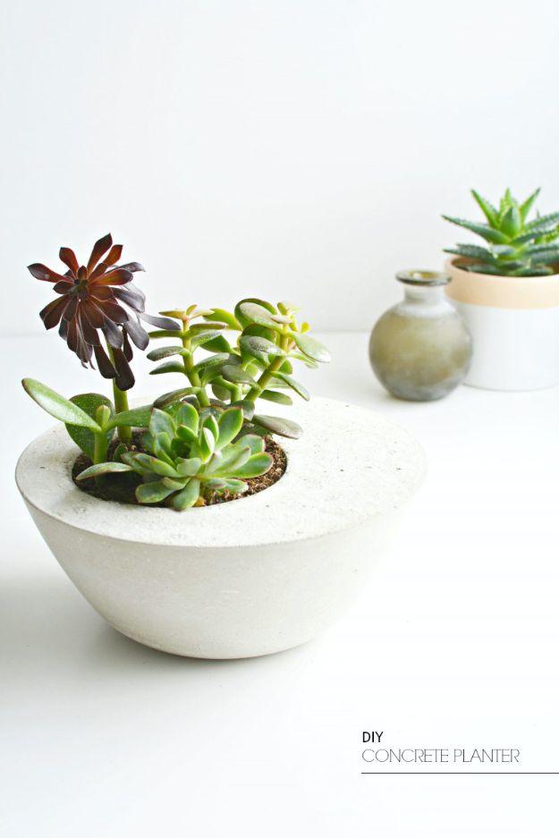 Smooth gray concrete bowl planter holding green succulents beside a small ceramic pot on a white surface