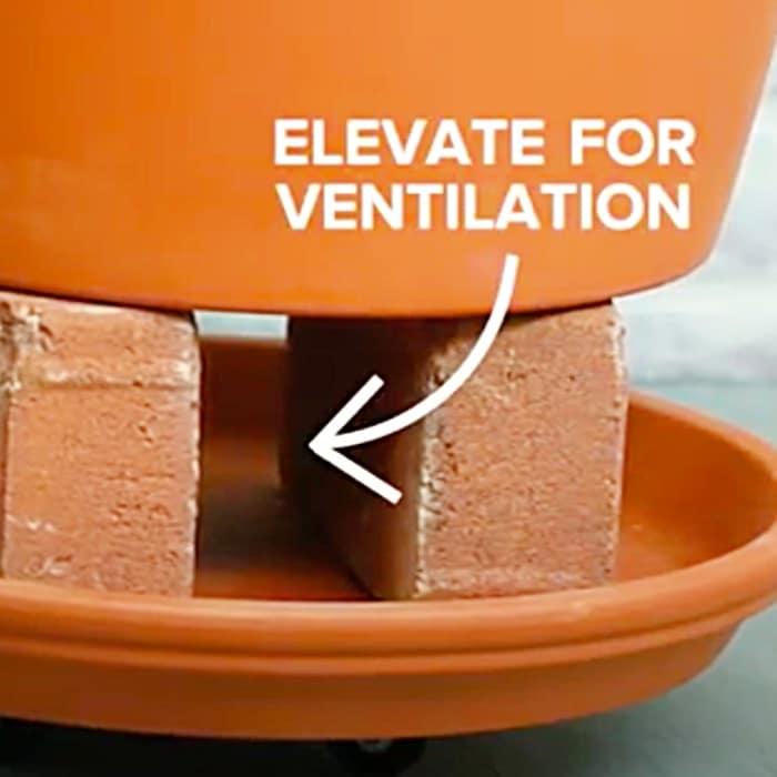 DIY Flower Pot Cooler - DIY Refrigerator - Emergency Food Storage - Prepping Ideas