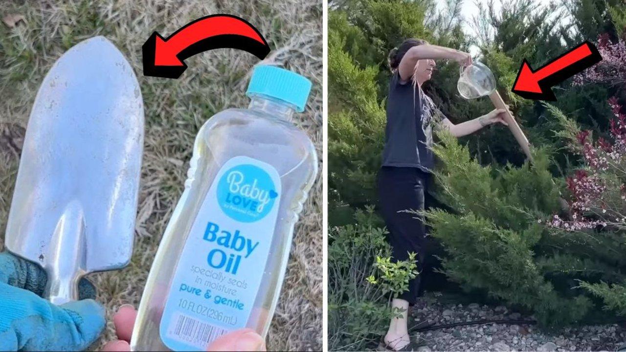 5 Life-Saving Gardening Hacks That You Must Know