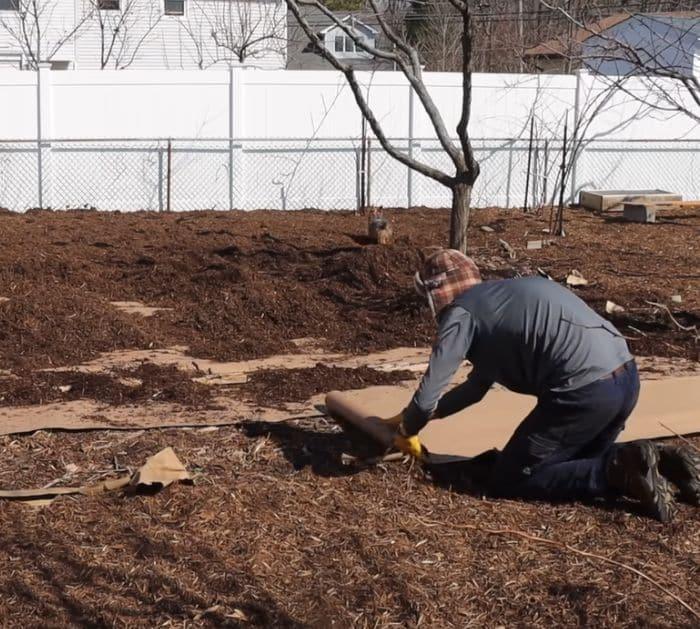 10 Free Garden Hacks Using Household Items cardboard