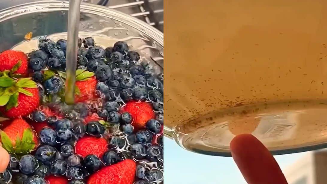 How to Wash Your Berries The Right Way