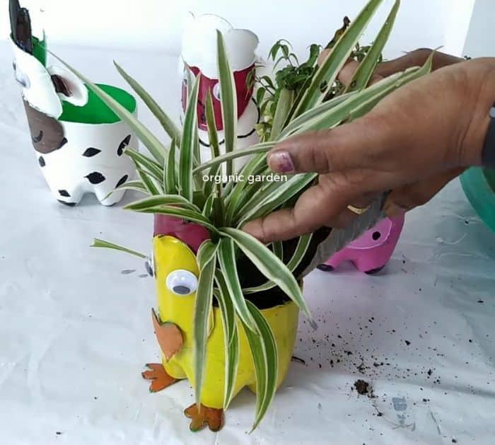 DIY Recycled Plastic Bottles Project Idea