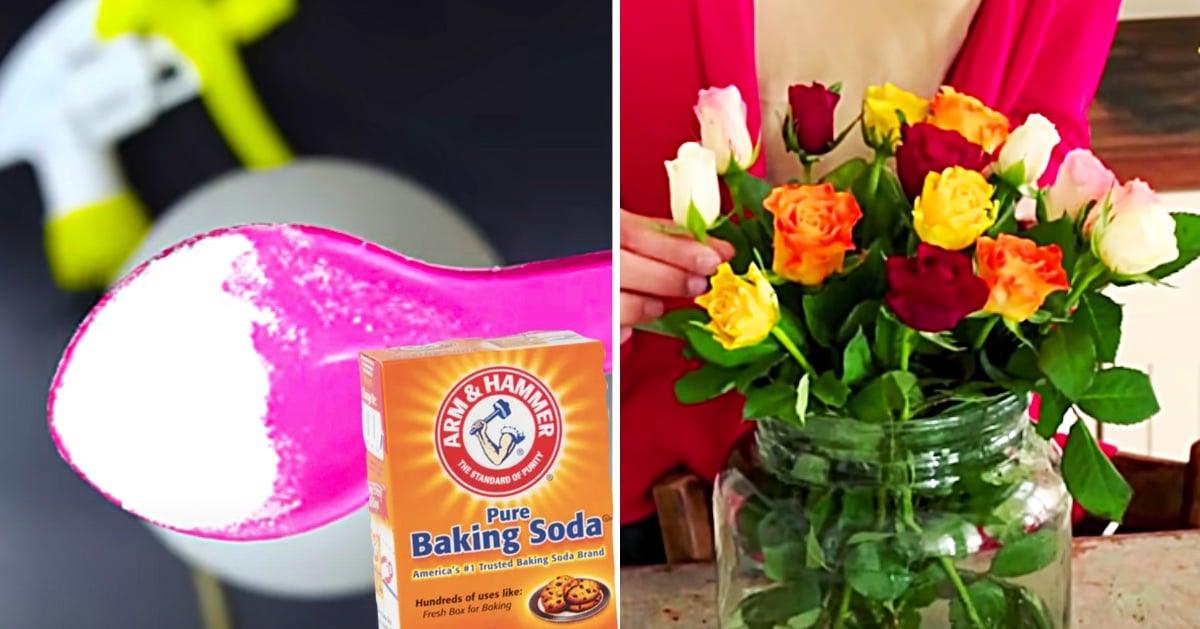 10 Ways To Use Baking Soda In The Garden