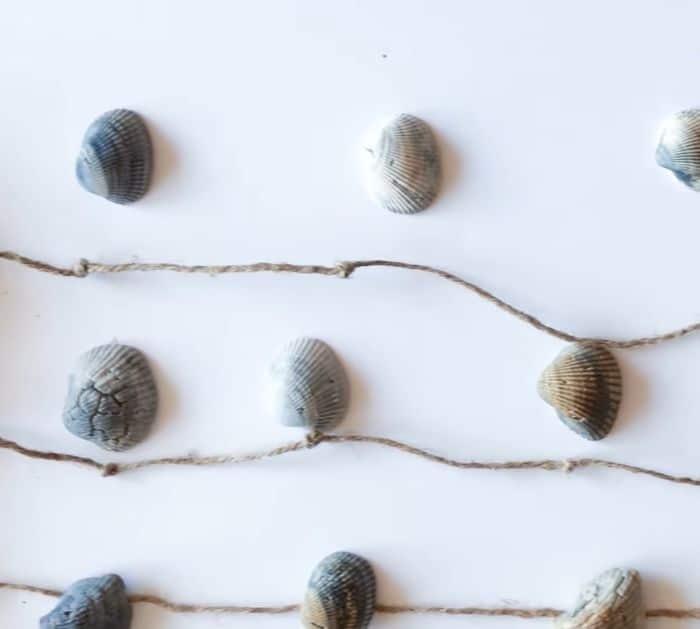 How to Make a Seashell Windchime or Wall Hanging Project