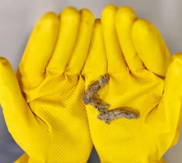 How To Remove Hair And Lint From Clothes