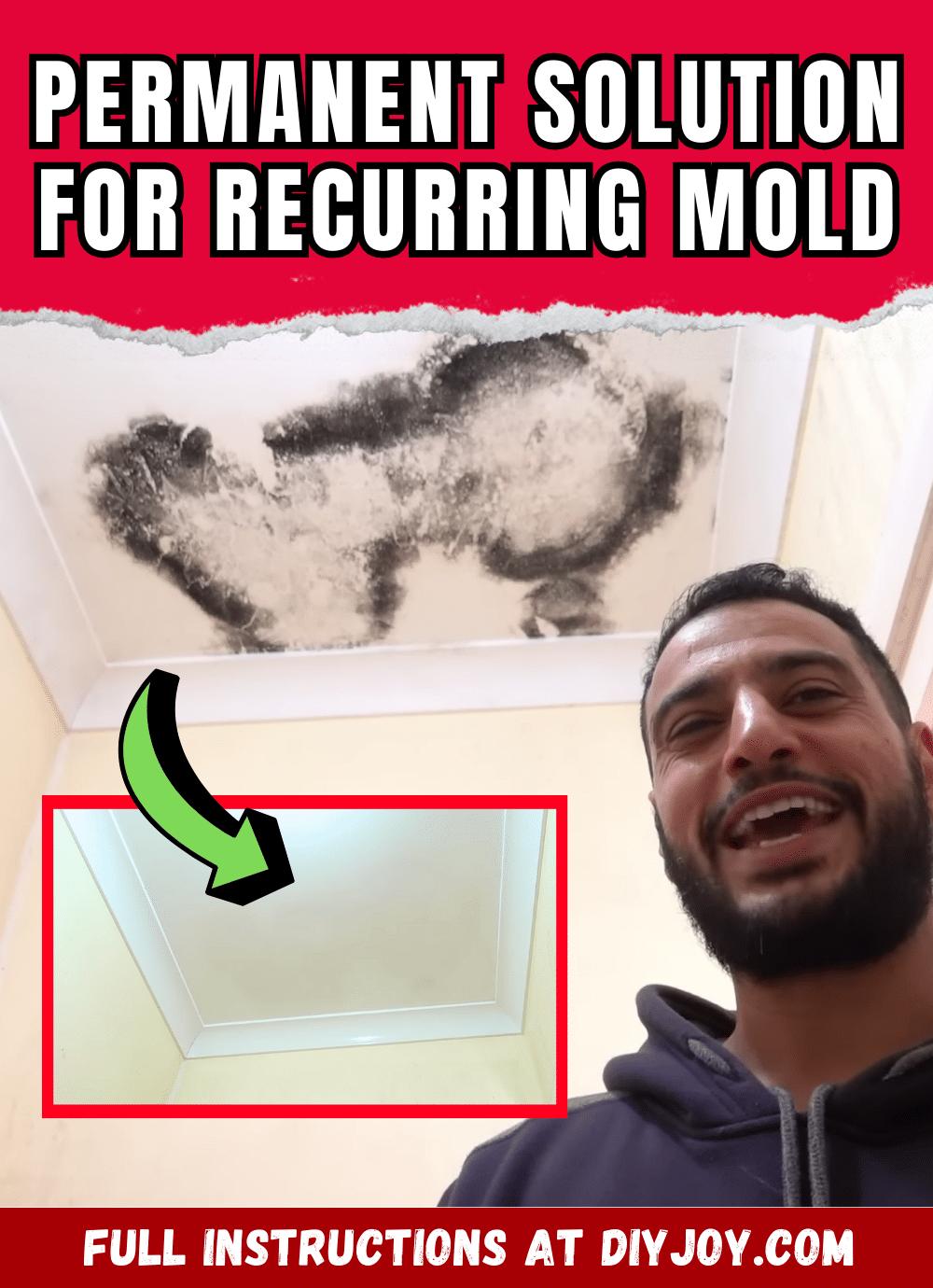 A Quick & Permanent Solution For Recurring Mold