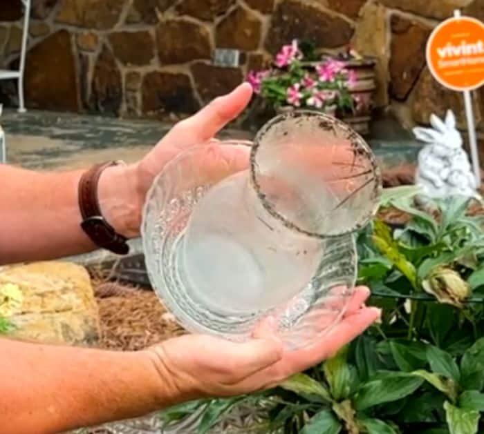 How to Make Glass Garden Mushrooms