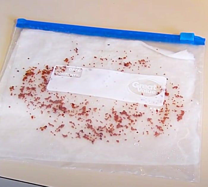 Put Seeds In Plastic Bags To Grow More Blueberry PLants