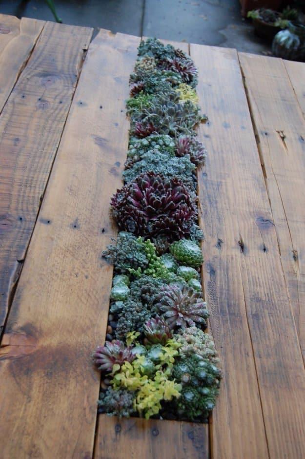 DIY Pallet Furniture Ideas - DIY Pallet Succulent Table - Best Do It Yourself Projects Made With Wooden Pallets - Indoor and Outdoor, Bedroom, Living Room, Patio. Coffee Table, Cou