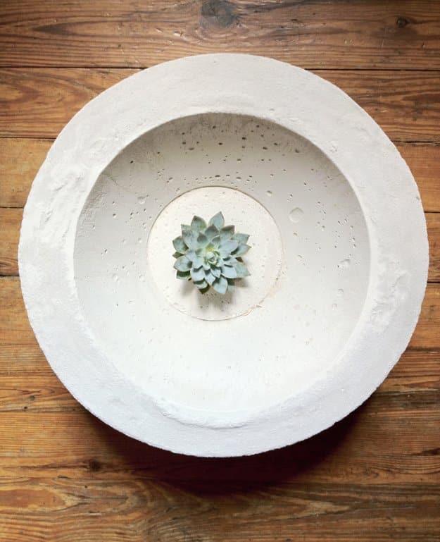 Concrete bowl centerpiece, a wide pale cast concrete bowl holding one small green succulent on a dark wood table