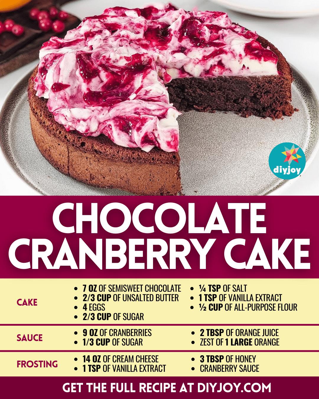 Easy Chocolate Cranberry Cake Recipe