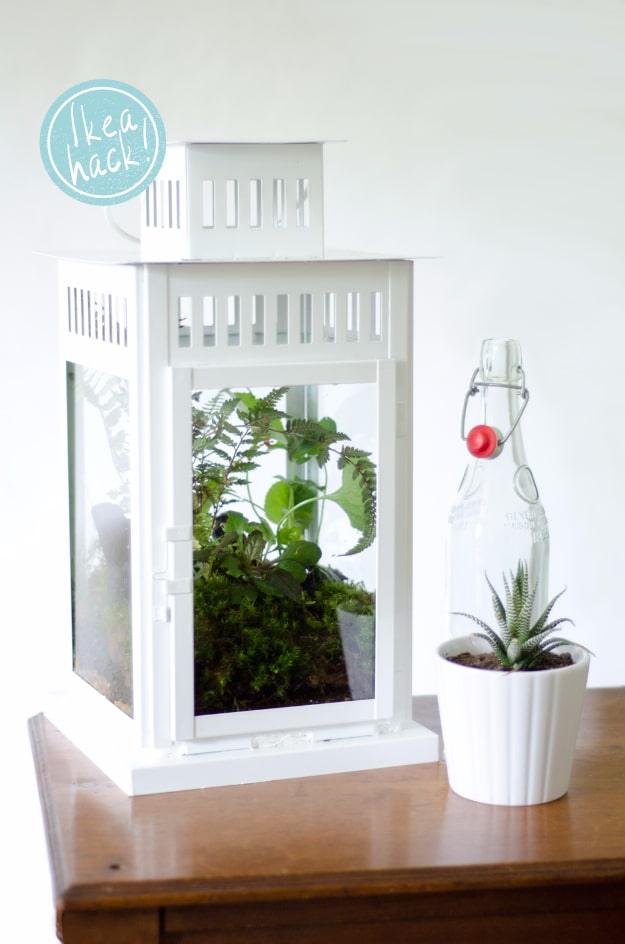 DIY Lantern Terrarium, budget friendly with supplies on hand and a clever way to reuse scraps you already have