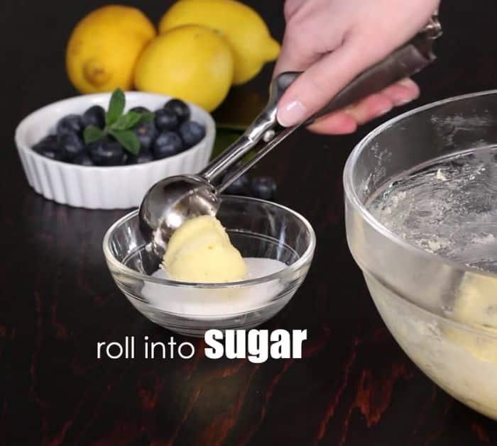 How To Make Blueberry Lemon Cookies