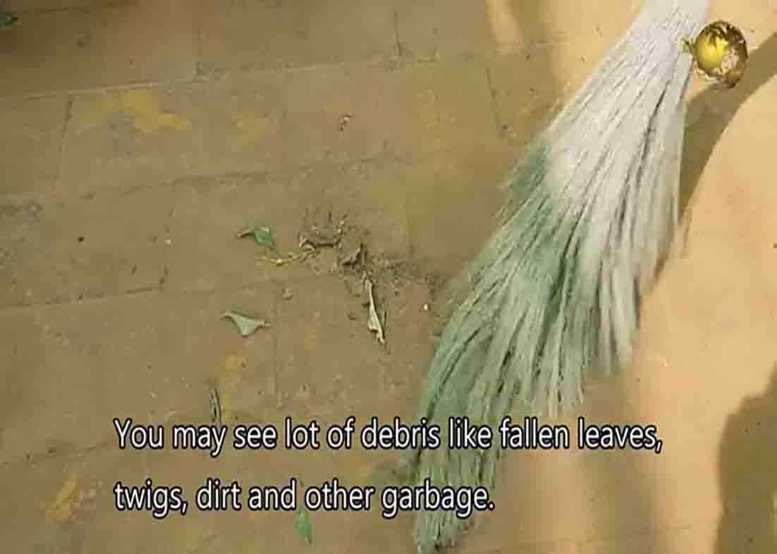Sweeping your garden clean early Spring