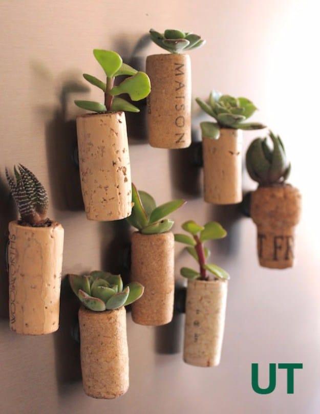 Cork Succulent Planters, a succulent craft idea worth trying this season and an idea that is easy to recreate at home