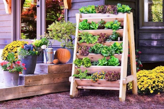 Vertical herb planter built from cedar, an A frame of stepped troughs packed with green and red lettuce beside a porch