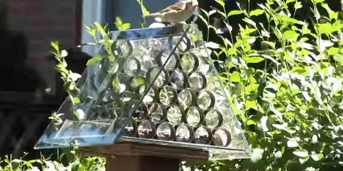 He Makes A Brilliant Squirrel Proof Bird Feeder Unparalleled to Any (Watch!)