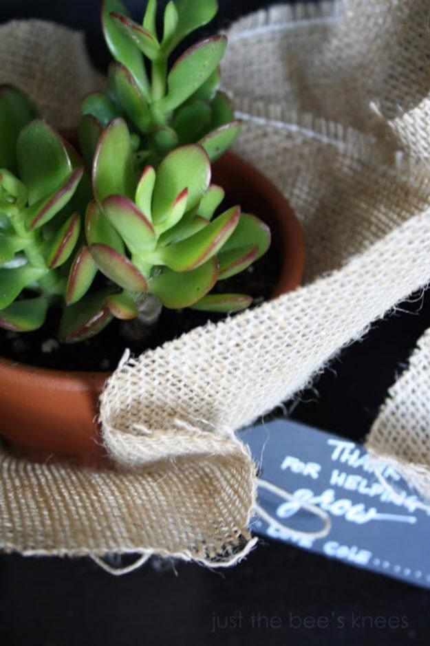 DIY Teacher Gift Using Succulent, easy to fit into a free afternoon and a smart way to add personality to a room