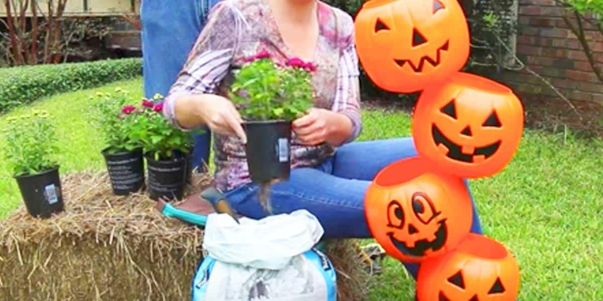 Watch The Whimsical Thing She Does With These Pumpkins For Some Fun Outdoor Decor!