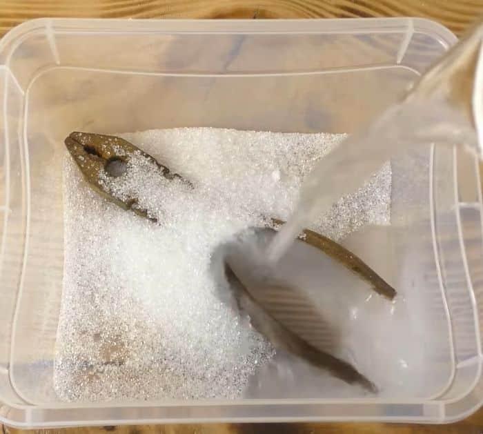 How to Remove Rust From Tools Using Vinegar