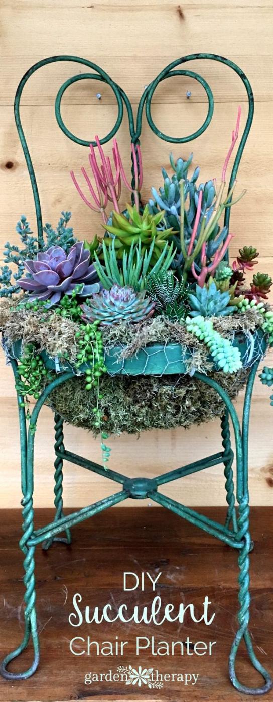 Succulent chair planter, a teal wrought iron chair with succulents and moss planted into a basket in the open seat