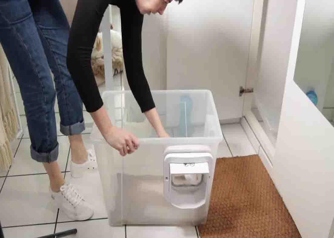 Dee cleaning the cat's litter box