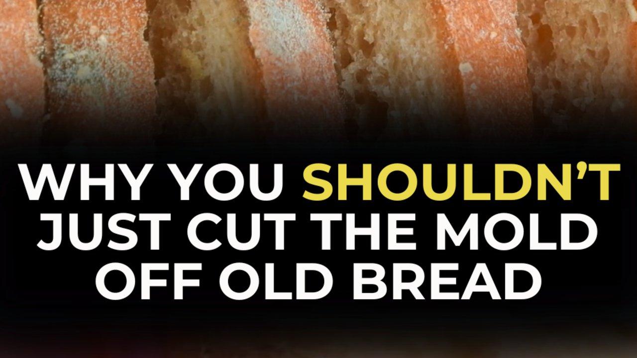 Why You Shouldn’t Just Cut The Mold Off Old Bread
