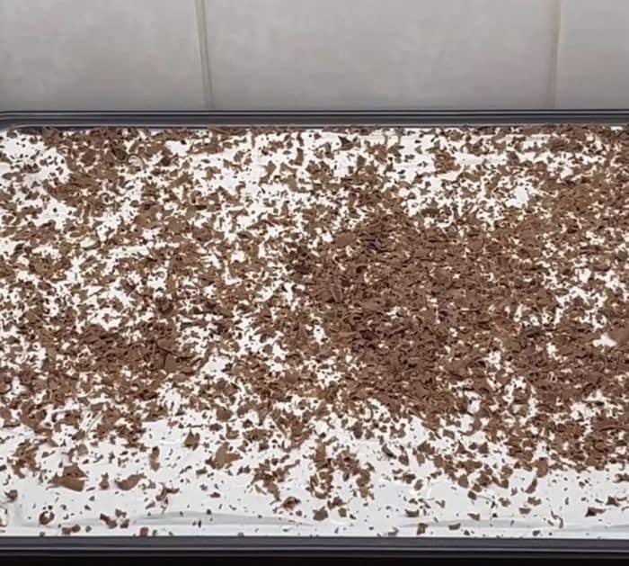 Easy To Make Old-Fashioned Texas Mud Pie