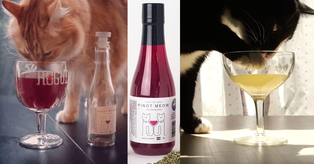 Why Drink Alone When The Cat Can Drink, Too?