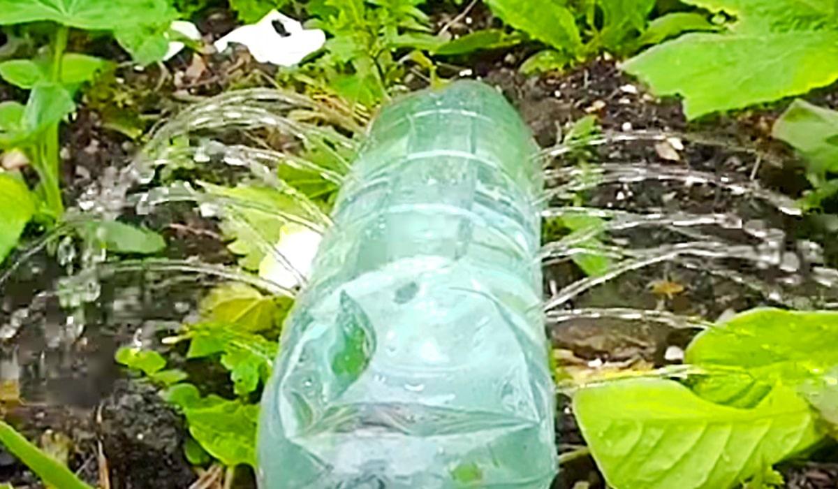 5-Minute Soda Bottle Sprinkler