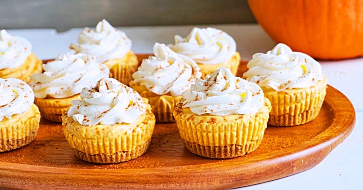 No-Bake Mini Pumpkin Cheesecake Bites