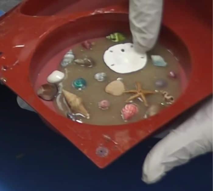 Easy to Make DIY Beachy Seashell and Sand Coaster