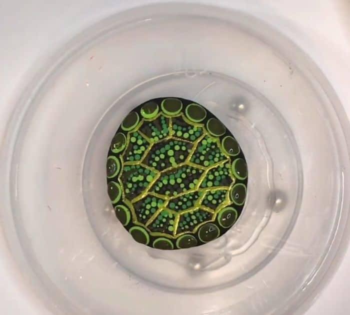 Easy to Make DIY Turtle Rock Painting