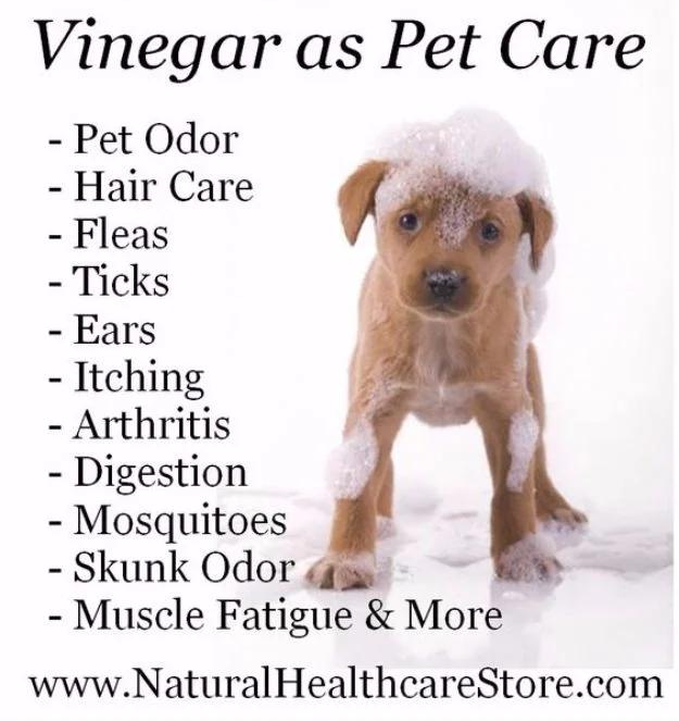 DIY Dog Grooming Tutorials - Vinegar As Pet Care - Cool and Easy Ways to Wash, Groom and Style Your Pets Fur - Trim Toenails, Brush Teeth, Bath, Trim and Clip Dogs Fur - Hair - Rem