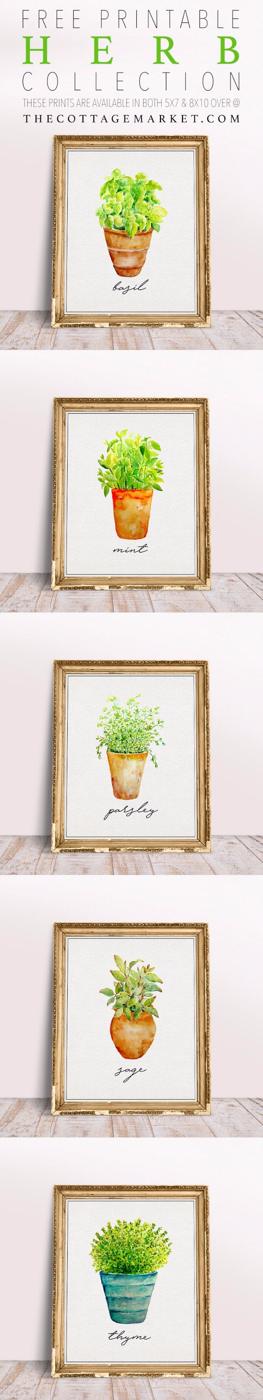 Free Printable Herb Collection, a no fuss digital pick, simple enough to swap into a frame the same afternoon
