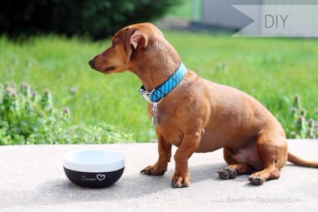 Brown dachshund sitting outdoors on concrete beside a white bowl with a black chalkboard painted base lettered with its name