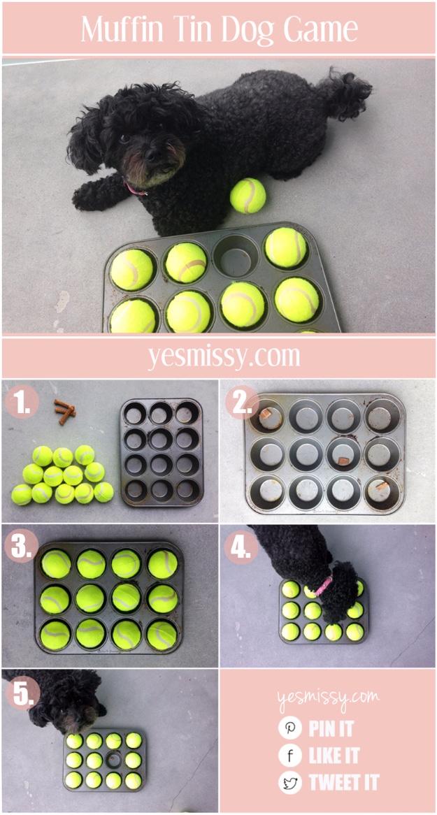 Collage titled Muffin Tin Dog Game over a black poodle mix beside a muffin tin with a tennis ball in every cup