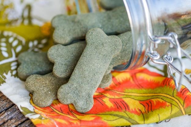 Green bone shaped dog treats spilling from a glass jar onto an orange and olive patterned cloth on weathered wood